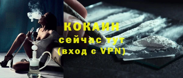 индика Пересвет